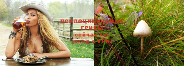 мдпв Новокубанск