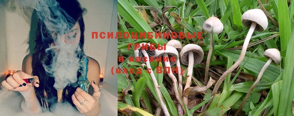 mdma Новодвинск