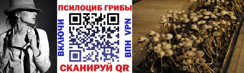Псилоцибиновые грибы Psilocybine cubensis  Орлов 