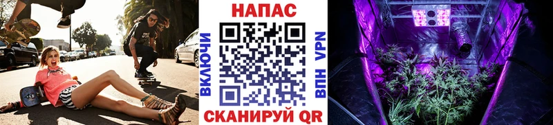 Бошки марихуана Ganja  дарнет шоп  mega   Орлов 