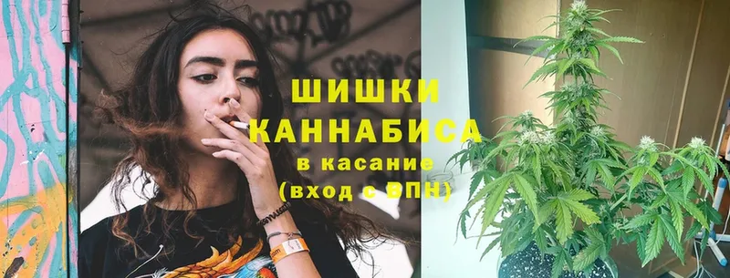 Бошки Шишки White Widow  где найти   Орлов 